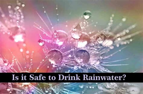 Is it safe to drink rain water. Things To Know About Is it safe to drink rain water. 